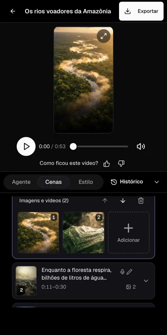 A página do vídeo de curiosidades com a prévia em cima e a aba Cenas aberta, com as imagens da primeira cena.